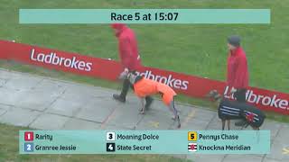 Crayford Greyhounds Races on 11th January 2024 [upl. by Rede]