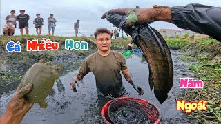 Máy Cạn Ao Bèo Bỏ Hoang Bất Ngờ Kiếm Được Cá Và Baba Nhiều Chưa Từng Có  Quế Nghịch [upl. by Waly943]