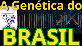 A Genética do Brasil [upl. by Sivrat258]