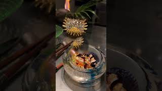 ⭐️⭐️⭐️ Michelin Star Alinea in Chicago IL  Part 4 Worlds Greatest Restaurants shorts food asmr [upl. by Nisior]