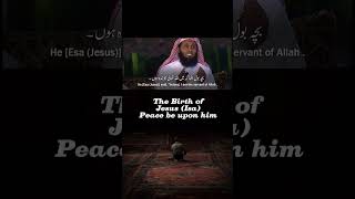 The Birth of JesusIsa Peace be upon him  Beautiful Quran Recitation  quran [upl. by Petigny350]