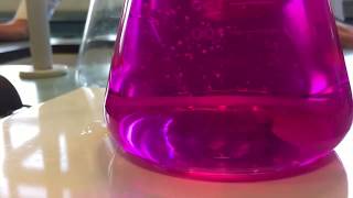 NaOH in HCL wPhenolphthalein indicator [upl. by Saint566]