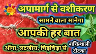 अपामार्ग  चिरचिटा की जड़ से आसान वशीकरण Chirchita Ke totke Apamarg se vashikaran vashikaran [upl. by Mori]