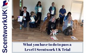 Scentwork L1 Trial [upl. by Rochette]