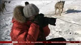 Ragnar Axelsson Last Days Of The Arctic [upl. by Aillicirp973]