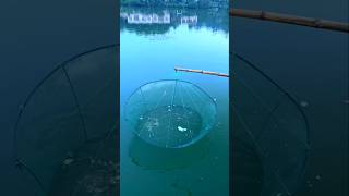 Amazing Fishing Idea 🥰 shorts ytshorts [upl. by Markos742]