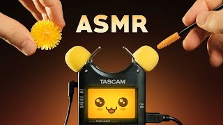 ASMR KAWAII TASCAM TINGLES  Mic Test Trigger Cuteness [upl. by Eigram]