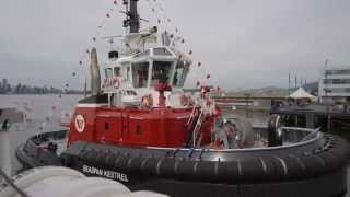 Sanmar Tug Builder and Operator in Turkey [upl. by O'Mahony]