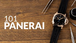 PANERAI explained in 3 minutes  Short on Time [upl. by Murage]