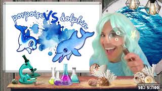 Porpoise vs Dolphin Whats the Difference  bonus coloring page [upl. by Ernestine72]