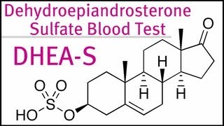 DHEA Sulfate Blood Test [upl. by Htessil]