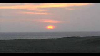 Tour of Shark Alley off Chatham Cape Cod [upl. by Humo]