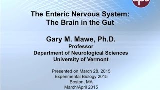 The Enteric Nervous System The Brain in the Gut 2015 Refresher Course Pt 4 [upl. by Nahgen]