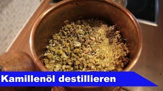 🌷 Kamille destillieren 🌻  ätherisches Öl selber machen  diSTILLed [upl. by Malita]