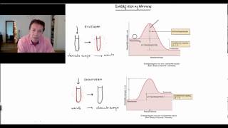 Energiediagrammen  Scheikundelessennl [upl. by Cogn]