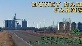 Great Canadian Potato Famine Part 1 on Honey Ham Farms 22  Year 1  FS22  Farming Simulator 22 [upl. by Gayner]