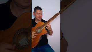 Estos Celos  Vicente Fernandez guitarra videoshort musicaranchera [upl. by Enahsed]