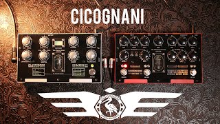 Cicognani Triple Decker preamp and Pompeii PE603 Echo demo [upl. by Haziza]