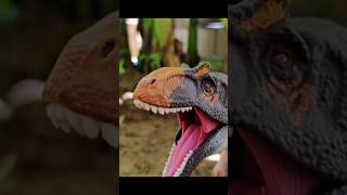 Metriacathosaurus y Concavenator STOP MOTION 🦖 dinosaurios concavenator metriacanthosaurus [upl. by Stromberg]