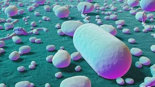 Antibiotic Resistant Bacteria [upl. by Nellir]