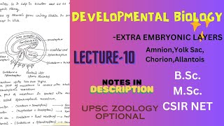 Extra Embryonic Membranes  UPSC  BSc  MSc  Notes in description [upl. by Sotsirhc]