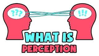 What is Perception  Explained in 2 min [upl. by Darrick]