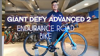 GIANT DEFY ADVANCED 2 DISC 2019  ENDURANCE ROAD BIKE [upl. by Pinette]