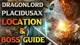 Dragonlord Placidusax Location  Elden Ring Boss Guide [upl. by Ahsak612]