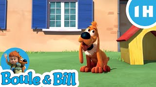 🎉Cest la journée du chien pour Bill 🎉  Nouvelle Compilation Boule et Bill FR [upl. by Bobbette738]