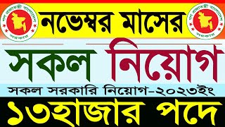 ১৩হাজার পদে নভেম্বর মাসের সকল সরকারি নিয়োগ 2023সরকারি চাকরির নিয়োগgovernment jobSR Job Life [upl. by Earahs12]