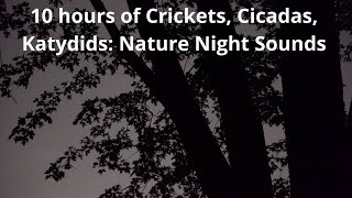 Nature Night Sounds 10 Hours of Crickets Cicadas Katydids Sleep Study Relax Nature Video [upl. by Athalia]