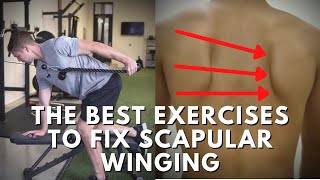 Effective Exercises To Fix Scapular Winging  Targeting The Weak Muscles [upl. by Oitaroh]