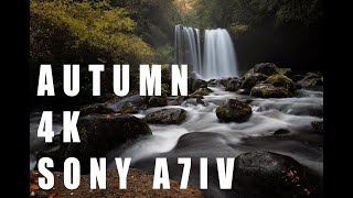 Otoño en el Sur de Chile  Sony A7IV 4k [upl. by Fonda68]