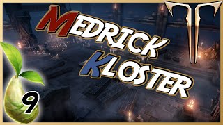 MedrickKloster  WestLuterra 100  Lost Ark Mokoko Samen Guide [upl. by Alleyn]