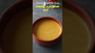 തക്കാളി മുരിങ്ങക്ക ഒഴിച്ച് കറി  Thakkali Muringakka Curry Recipe  Tomato Curry  Ozhichu Curry [upl. by Enidaj]