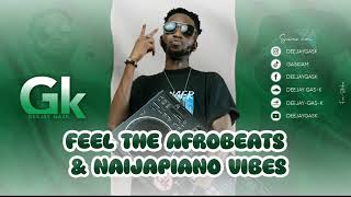 FEEL THE AFROBEATS amp NAIJAPIANO VIBES 2K24 By GASK [upl. by Lela584]