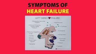 Symptoms of Heart Failure [upl. by Tnomad]