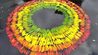 Outdoor Art with Andy Goldsworthy [upl. by Okimuk]