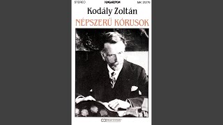 Túrót eszik a cigány  Csipkefa bibmbója [upl. by Procter252]