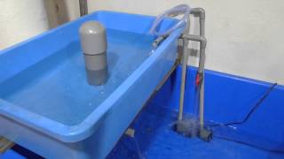 Basic Aquaponics  Siphon Water Test [upl. by Pasho343]