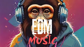 Beliebte EDM Musik 2024  EDM Tanz Musik  Beste Elektronische Musik  Tanz Remix [upl. by Neale]