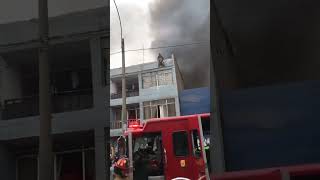 🐶RESCATÓ a 25 PERRITOS de un INCENDIO [upl. by Erastes]