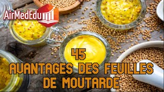 45 Avantages des Feuilles de Moutarde [upl. by Alyakam]