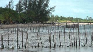 BARRA GRANDE  BA POUSADA BÚZIOS [upl. by Ilah]