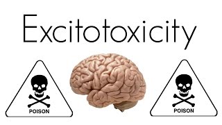 What is Excitotoxicity [upl. by Limemann]