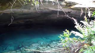 Ben’s Cave VIRTUAL TOUR  Grand Bahama Island  The Student Shed [upl. by Cinamod]