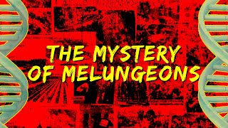 The Mystery of Melungeons [upl. by Reddin]