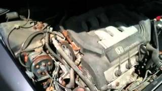 Honda Accord 98 Timing Belt Noise [upl. by Ettellocin567]