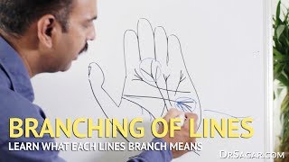 Branching of Lines in Hand  Palmistry [upl. by Magdaia625]