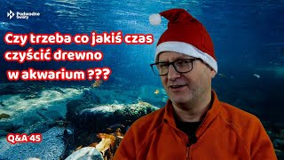 QampA 45 Czy trzeba co jakiś czas czyścić drewno w akwarium [upl. by Fitzhugh63]